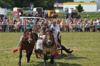 Bild: Kampf der Giganten Sundhausen