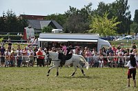 Bild: Kampf der Giganten Sundhausen