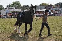 Bild: Kampf der Giganten Sundhausen