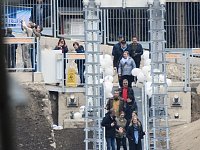 Bild: Harzdrenalin auf 458 Metern