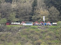 Bild: Harzdrenalin auf 458 Metern