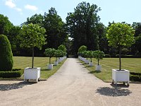 Bild: Lustwandeln im Park von Oranienbaum