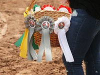 Bild: Breitensporttag am Reiterhof in Uder