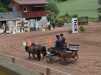Bild: Breitensporttag am Reiterhof in Uder