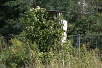 Bild: An der Piste und in der Stadt