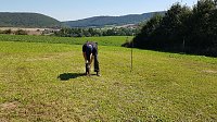 Bild: K&ouml;hlertage an der Arche Nebra