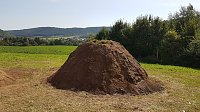 Bild: K&ouml;hlertage an der Arche Nebra