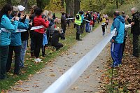 Bild: 24. Stadtparklauf in Sondershausen (1)