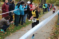 Bild: 24. Stadtparklauf in Sondershausen (1)