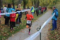 Bild: 24. Stadtparklauf in Sondershausen (1)