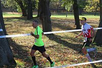 Bild: 24. Stadtparklauf in Sondershausen (1)