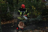 Bild: Feuerwehr im Einsatz