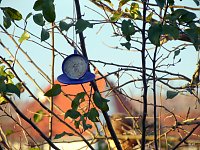 Bild: Herbstfest
