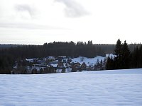 Bild: Der Harz taut...