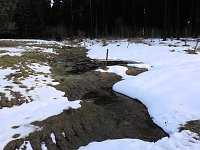 Bild: Der Harz taut...