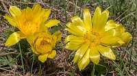 Bild: Fotoworkshop-Wochenende auf dem Karstwanderweg