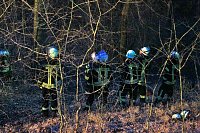 Gleitschirmflieger auf Baum Bild: Gleitschirmflieger auf Baum