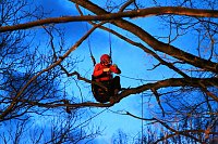 Gleitschirmflieger auf Baum Bild: Gleitschirmflieger auf Baum