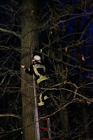 Gleitschirmflieger auf Baum Bild: Gleitschirmflieger auf Baum