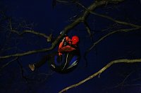 Gleitschirmflieger auf Baum Bild: Gleitschirmflieger auf Baum