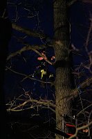 Gleitschirmflieger auf Baum Bild: Gleitschirmflieger auf Baum