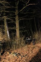 Gleitschirmflieger auf Baum Bild: Gleitschirmflieger auf Baum