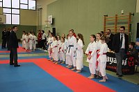 Bild: Titel und Medaillen beim Karate