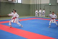 Bild: Titel und Medaillen beim Karate
