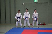 Bild: Titel und Medaillen beim Karate