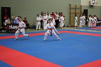 Bild: Titel und Medaillen beim Karate