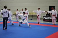 Bild: Titel und Medaillen beim Karate