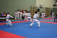 Bild: Titel und Medaillen beim Karate