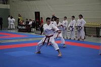 Bild: Titel und Medaillen beim Karate