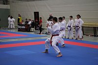 Bild: Titel und Medaillen beim Karate