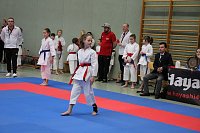 Bild: Titel und Medaillen beim Karate
