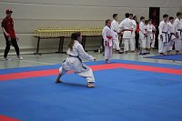 Bild: Titel und Medaillen beim Karate