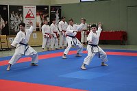 Bild: Titel und Medaillen beim Karate