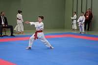 Bild: Titel und Medaillen beim Karate