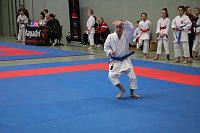 Bild: Titel und Medaillen beim Karate
