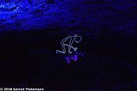 In einem ganz besonderen Licht Bild: In einem ganz besonderen Licht