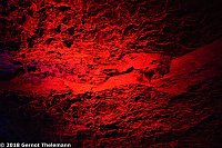 In einem ganz besonderen Licht Bild: In einem ganz besonderen Licht