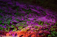 In einem ganz besonderen Licht Bild: In einem ganz besonderen Licht