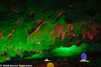 In einem ganz besonderen Licht Bild: In einem ganz besonderen Licht