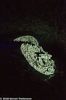 In einem ganz besonderen Licht Bild: In einem ganz besonderen Licht