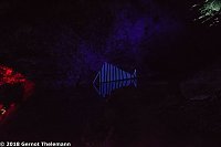 In einem ganz besonderen Licht Bild: In einem ganz besonderen Licht