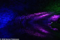 In einem ganz besonderen Licht Bild: In einem ganz besonderen Licht