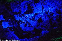 In einem ganz besonderen Licht Bild: In einem ganz besonderen Licht