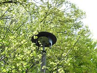 Bild: Peter Blei unterwegs in Ballenstedt