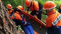 Bild: Feuerwehrtag