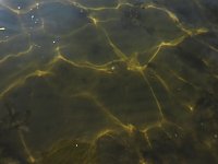 Bild: Lichtspiele am Seelhausener See